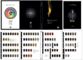 Farmagan Superlative Colour Chart Black Classic - image 2