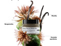 L'Oreal Absolut Repair Molecular Concentrated Mask 500ml